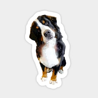 Bernese Mountain Dog Cute Head Tilt Sticker